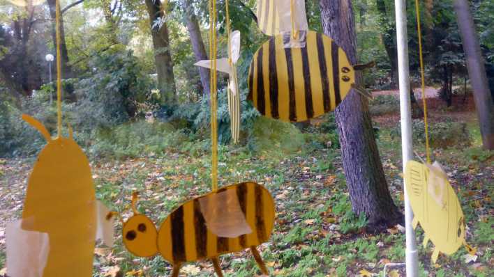 Farbig bemalte Bienen aus Karton, hängen vor einem Fenster (Quelle: rbb/OHRENBÄR/Clara Herrmann) Farbig bemalte Bienen aus Karton, hängen vor einem Fenster (Quelle: rbb/OHRENBÄR/Clara Herrmann)